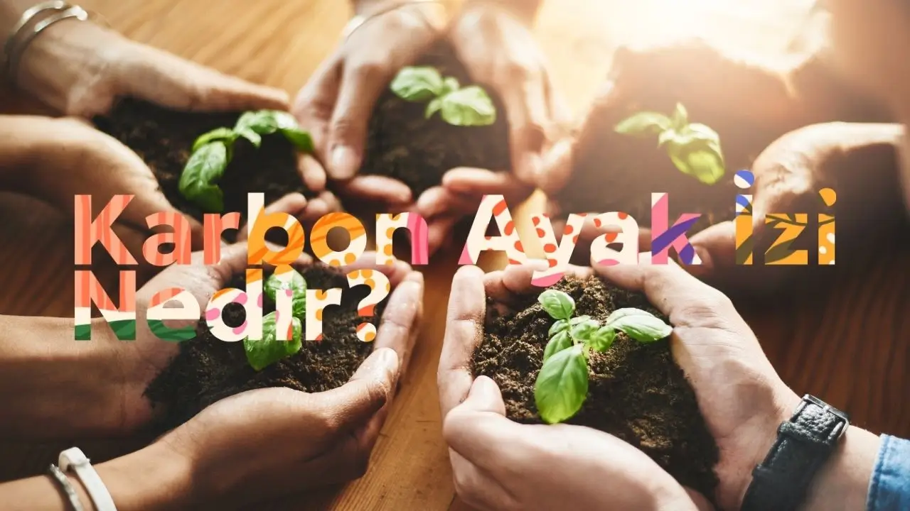 Karbon Ayak İzi Nedir?