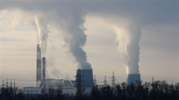 Karbon Sertifikası Nedir ve Nasıl Alınır? Tüm Detaylarıyla