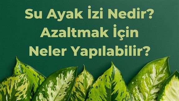 Su Ayak İzi Nedir? Azaltmak İçin Neler Yapılabilir?