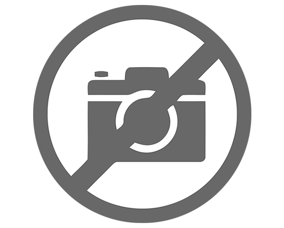 Second-Party Opinion (SPO)